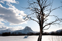 Natur